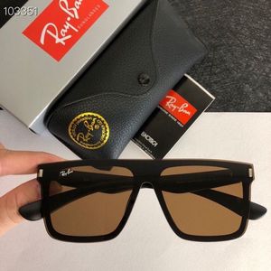 Ray-Ban Sunglasses 738